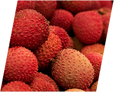 litchi